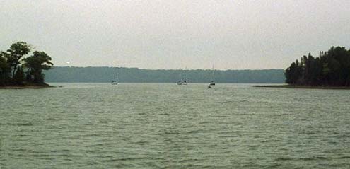  Harbor Island 