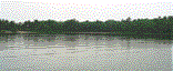  Photo: Louisa Island harbor