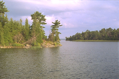 Photo: Turnbull Island W harbor 