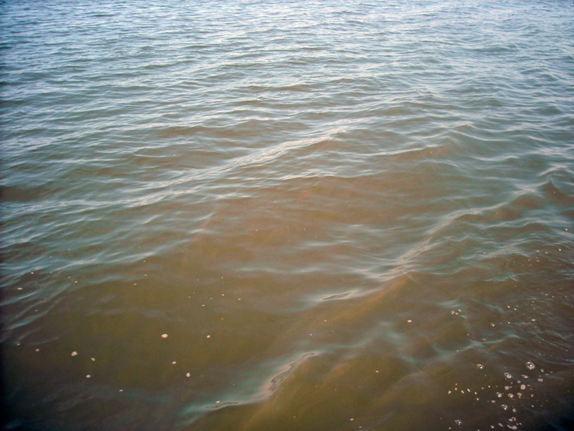 Photo: Unusual brown water in Lake Superior, Wisconsin.