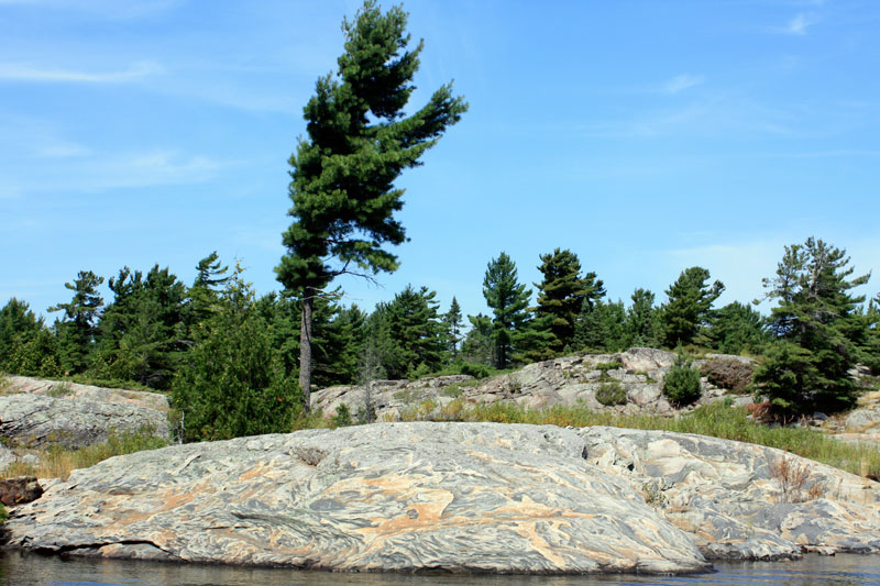 Photo: Marbled rock, leaning trees, Georgian Bay.