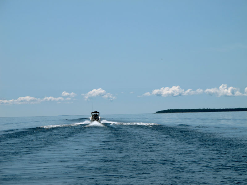 Photo: Boston Whaler boats in Georgian Bay.