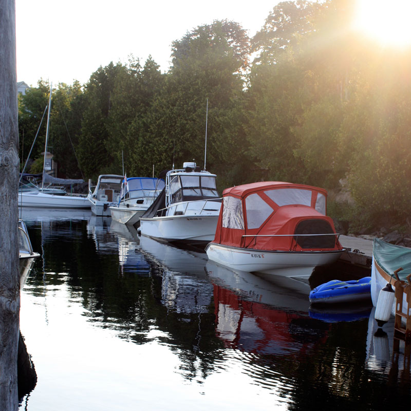 Photo: Our fleet of Boston Whaler boats at the dock in Tobermory.