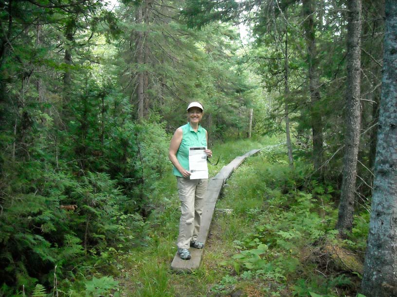 Photo: Self-guided nature trail through bog at Windigo, Isle Royale, Lake Superior.