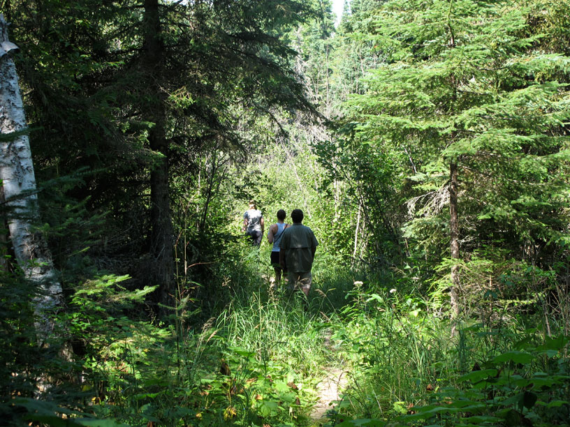 Photo: Three hikers on trail from Chippewa Harbor to Lake Mason, Isle Royale.