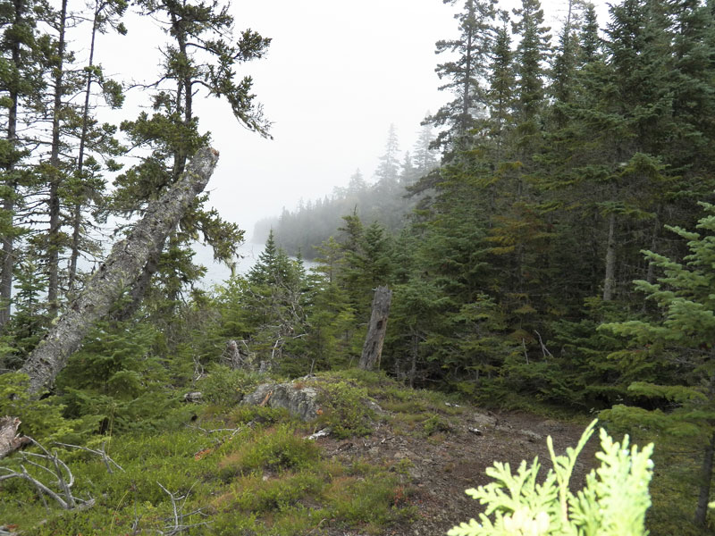 Photo: Trail and fog.