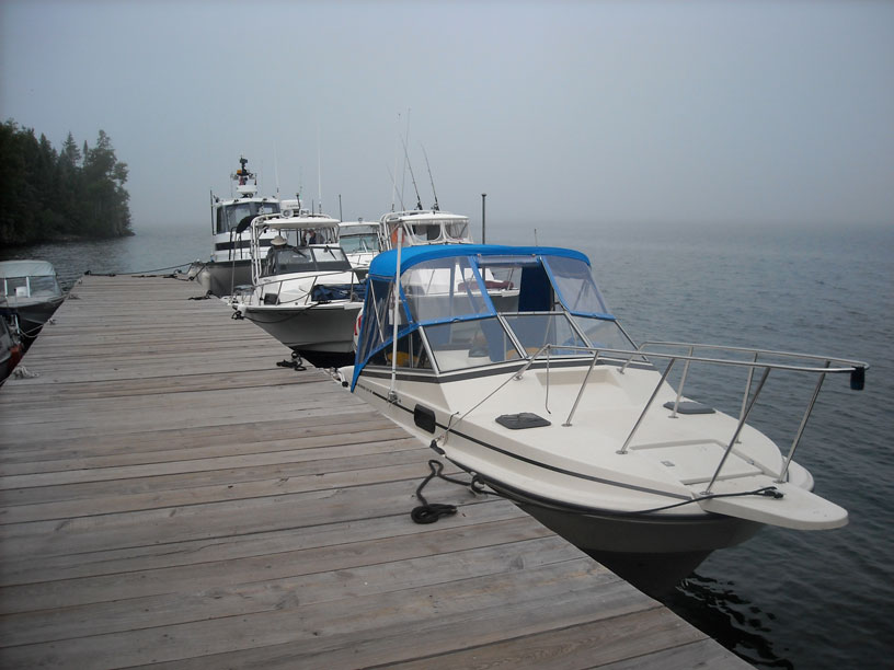 Photo: Dock at Edisen Fishery with five boats tied on outside face.