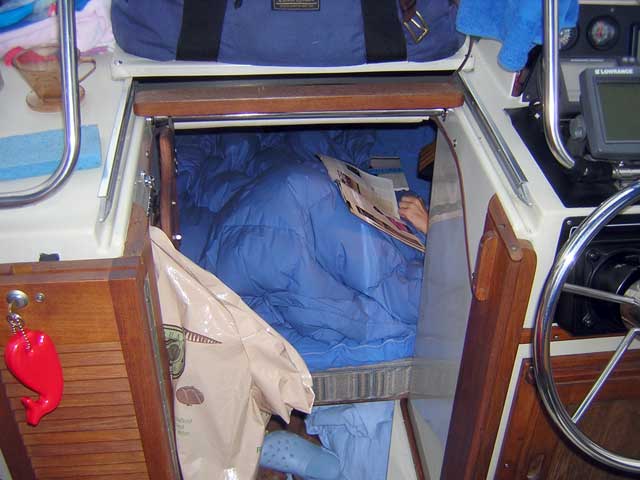 Photo: View into cabin of Boston Whaler REVENGE 22 WT from cockpit