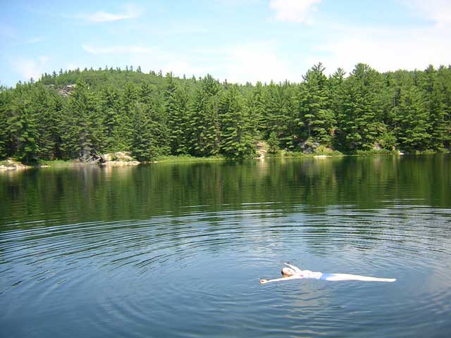 Photo: CEW swimming in lake.
