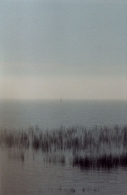 [Photo: Foggy Little Bay de Noc]