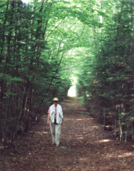 [Photo: Devils Island Trail]