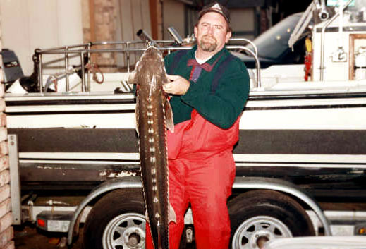 Photo: Whaler owner/fisherman Tom Byrum holding large sturgeon