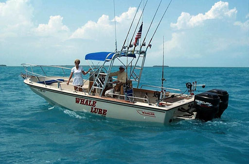 [Photo: 1989 Whaler 25 Outrage in Gulf of Mexico]