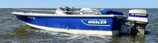 IMG_2747.jpeg