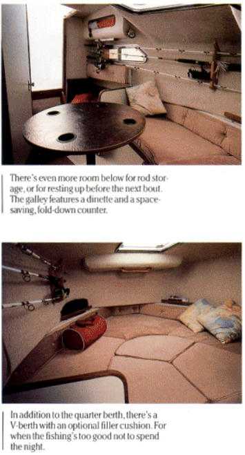 Whaler_25_interiorCatalog.jpg