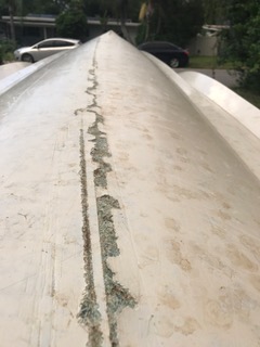 image3.JPG