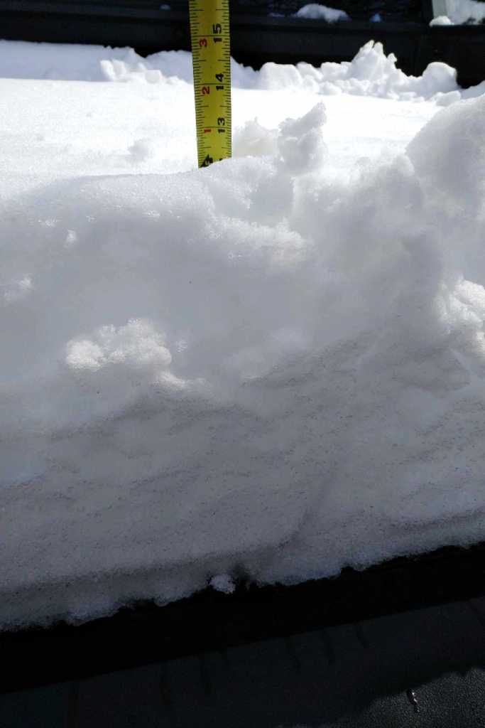 Snow.jpg