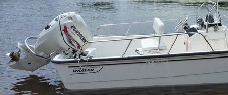 17 Whaler.jpg