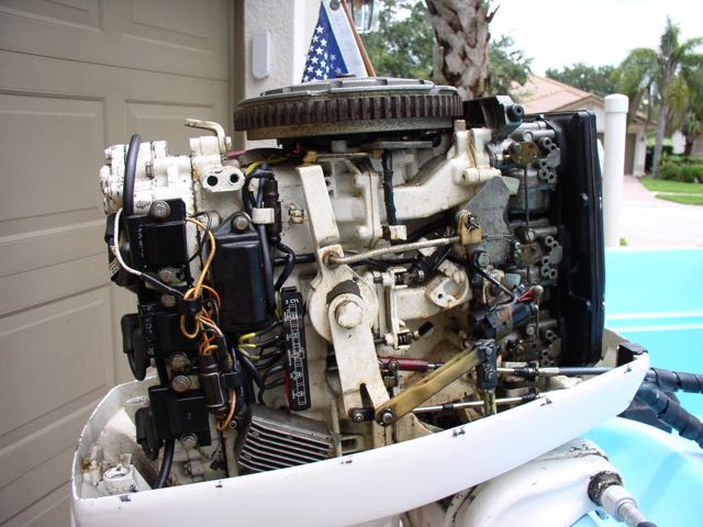 Whaler 4.jpg