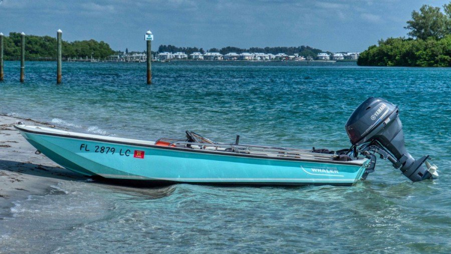 19102019_P1020650_3_4_4.jpg