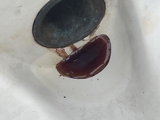 IMG_6630.jpeg