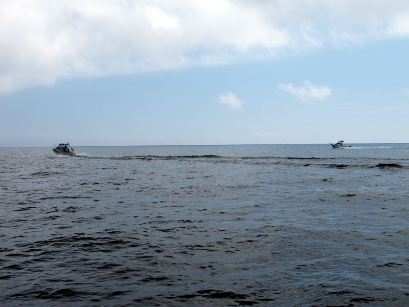 Photo: CONTINUOUSWAVE and HOLLY MARIE in Georgian Bay open water.