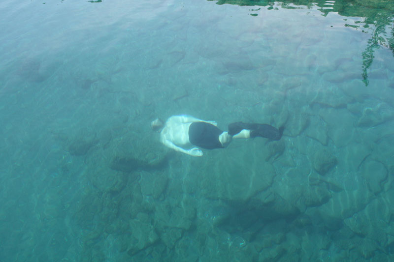 Photo: Swimmer under water.