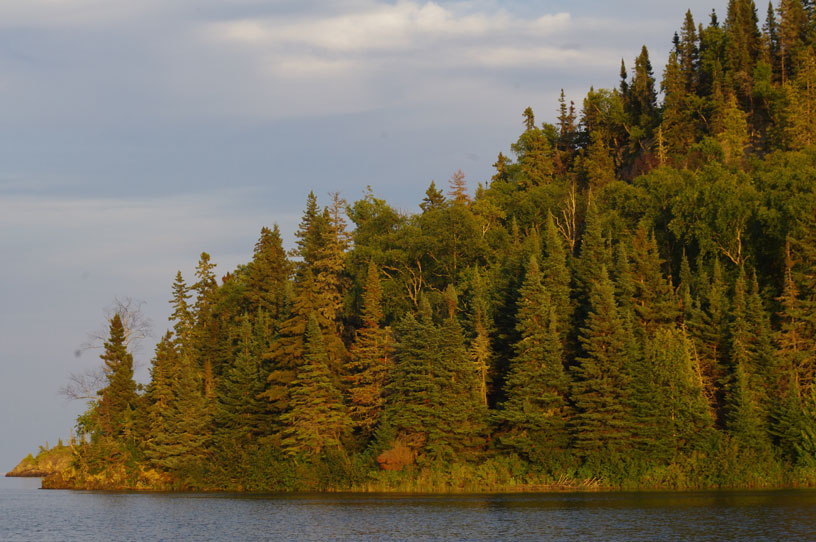 Photo: Tree covered shore at dusk, Isle Royale.