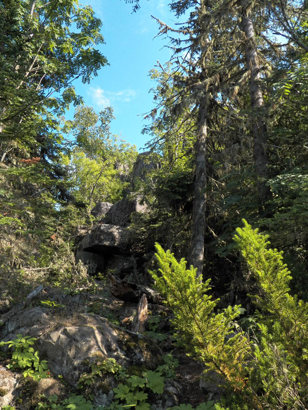 Photo: The trail to the lighthouse on Passage Island, Lake Superior.