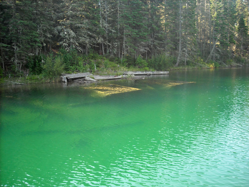 Photo: Submerged timber and stone cribs of old dock in Crystal Cove.