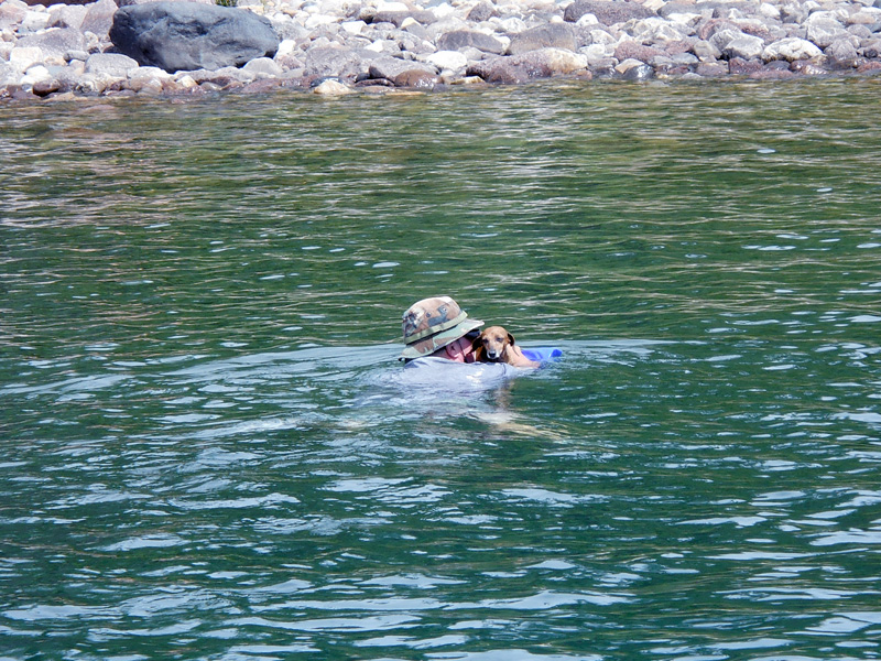 Photo: Dog on floatation cushion being towed ashore by swimmer.