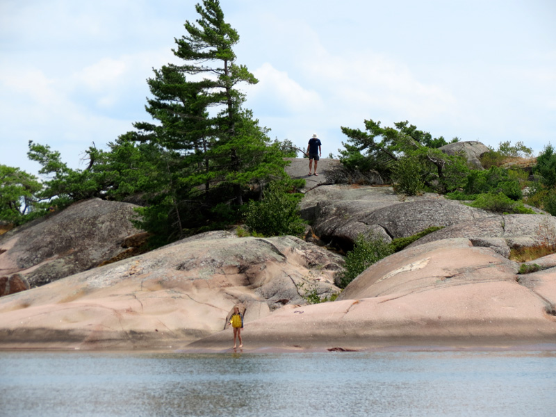 Photo: Shoreline at South Benjamin Island south harbor.