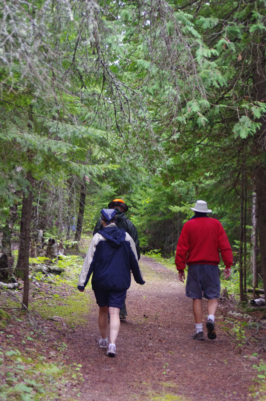 Photo: Trail at Lime Island State Park, Michigan