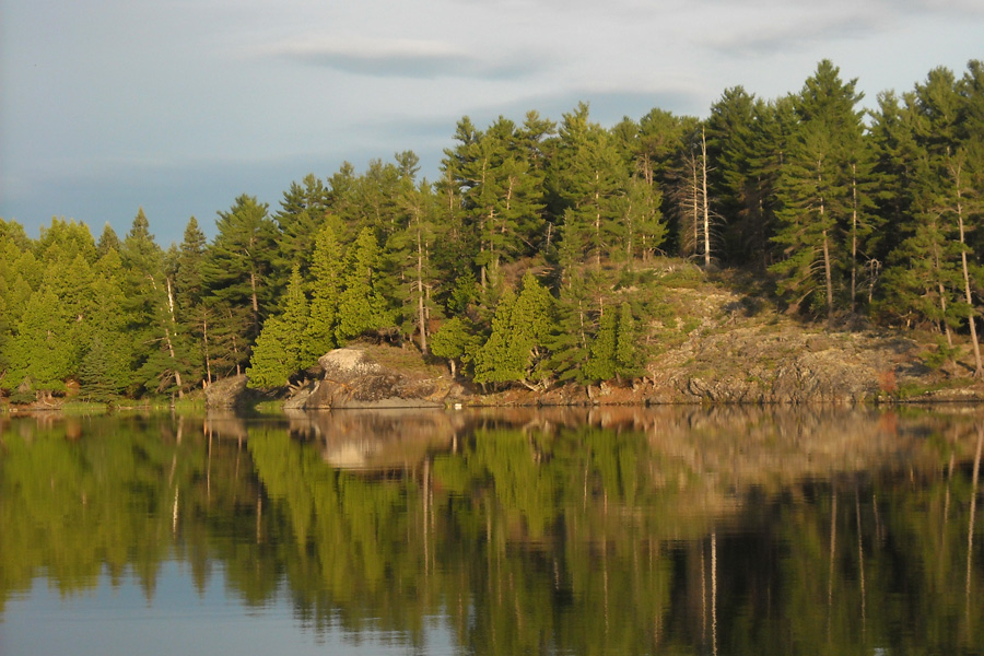 Shoreline at morning
