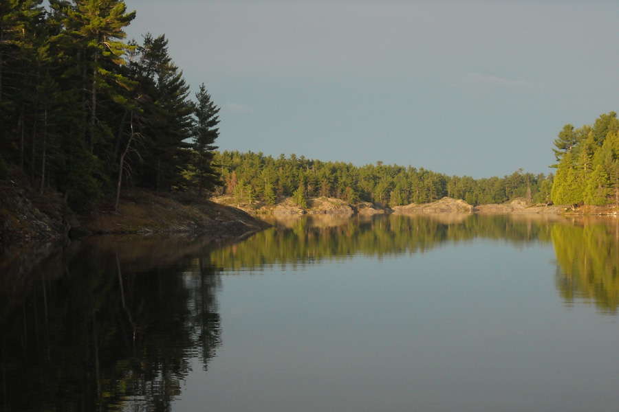 Shoreline at morning