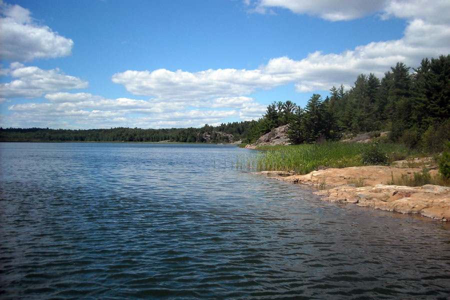 Reed Lake
