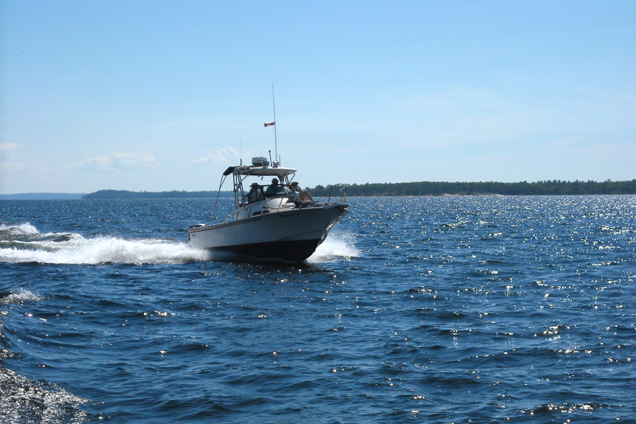 Boston Whaler 23 WALKAROUND WHALER DRIVE