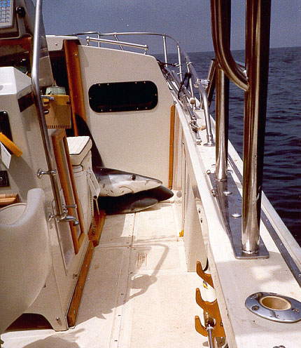 Photo: 1986 22-Outrage Cuddy Cockpit with passengers