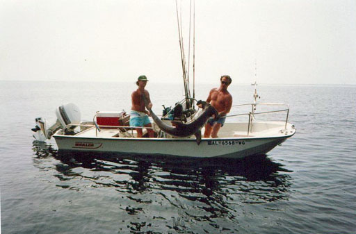 [Photo: 1987 Whaler 17 Montauk Ocean Fishing]