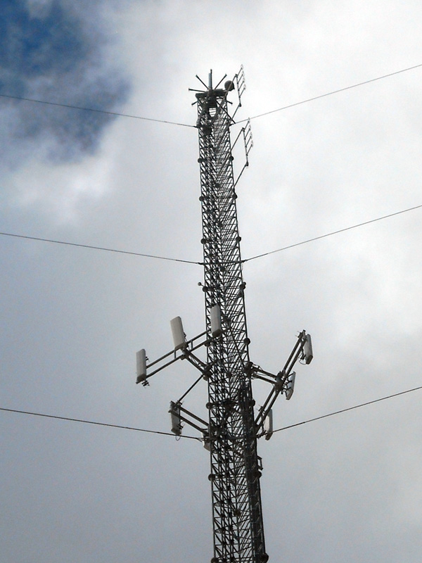 RFF FORESTER antenna detail.