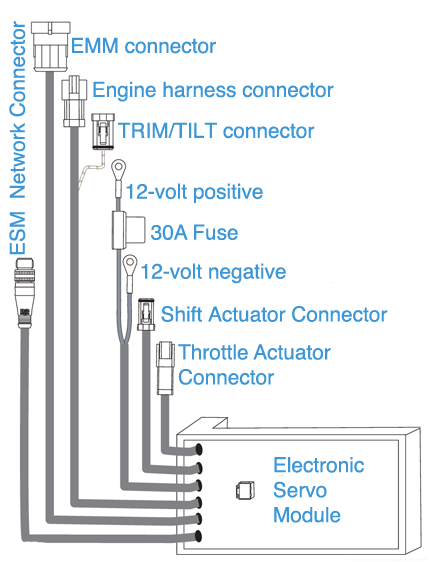 Graphic: ICON Electronic Servo Module