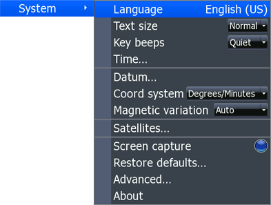 HDS System Menu